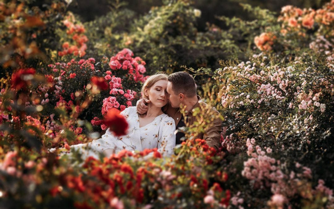 Paulina i Marcin – Sesja w różanym ogrodzie